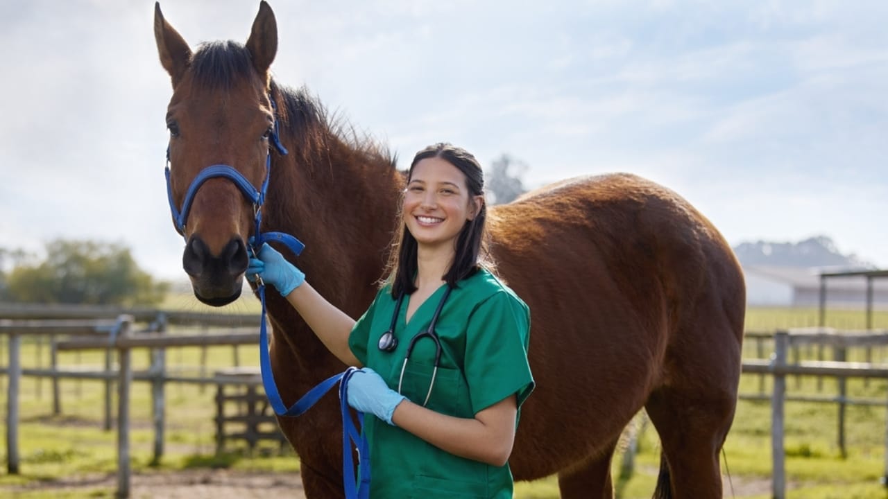 Bridling Beliefs: How Owners’ Views Impact the Welfare of Working Horses 5 Bridling Beliefs: How Owners’ Views Impact the Welfare of Working Horses - healthcare horse ss2494995259