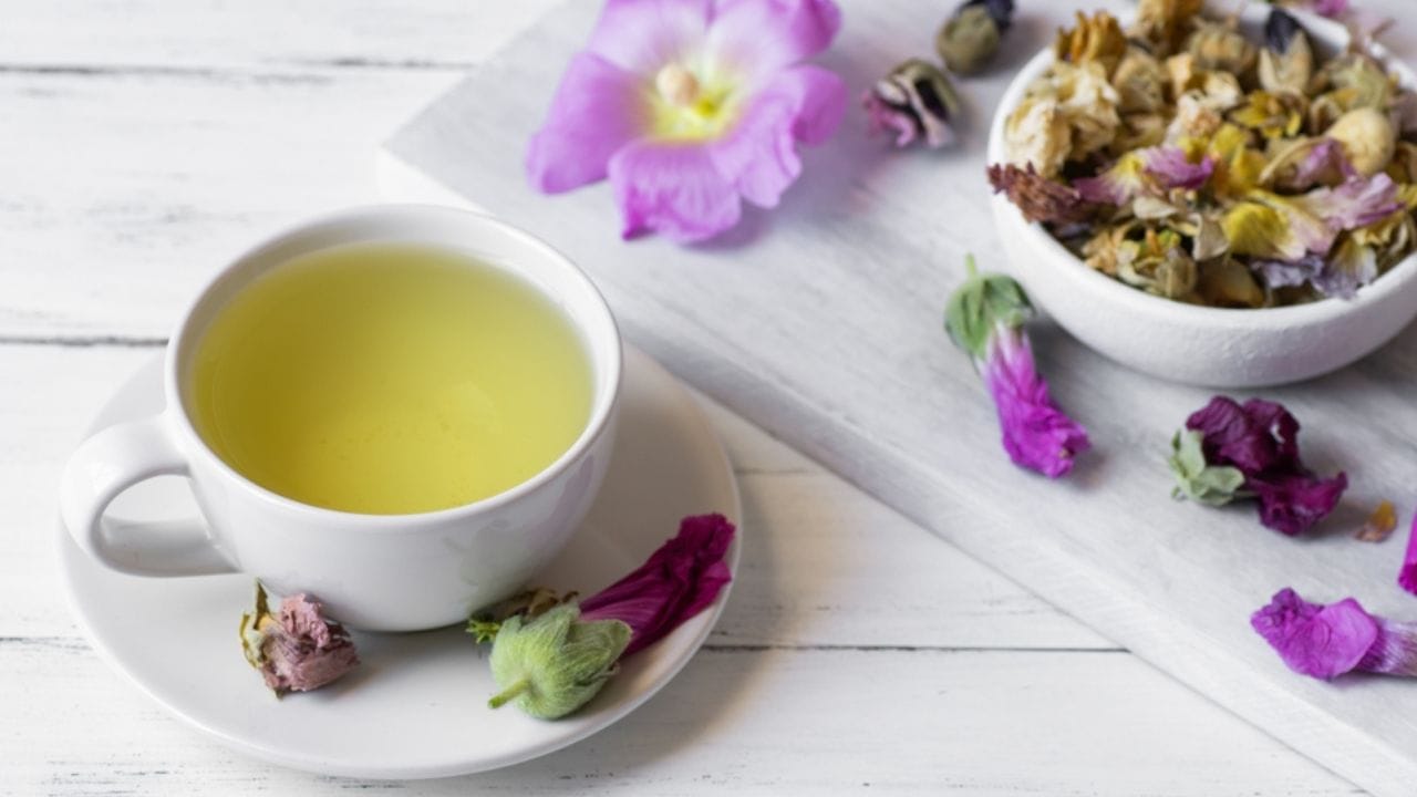 Why Hollyhocks Belong in Every Garden - hollyhock tea ss2216827807 adyh