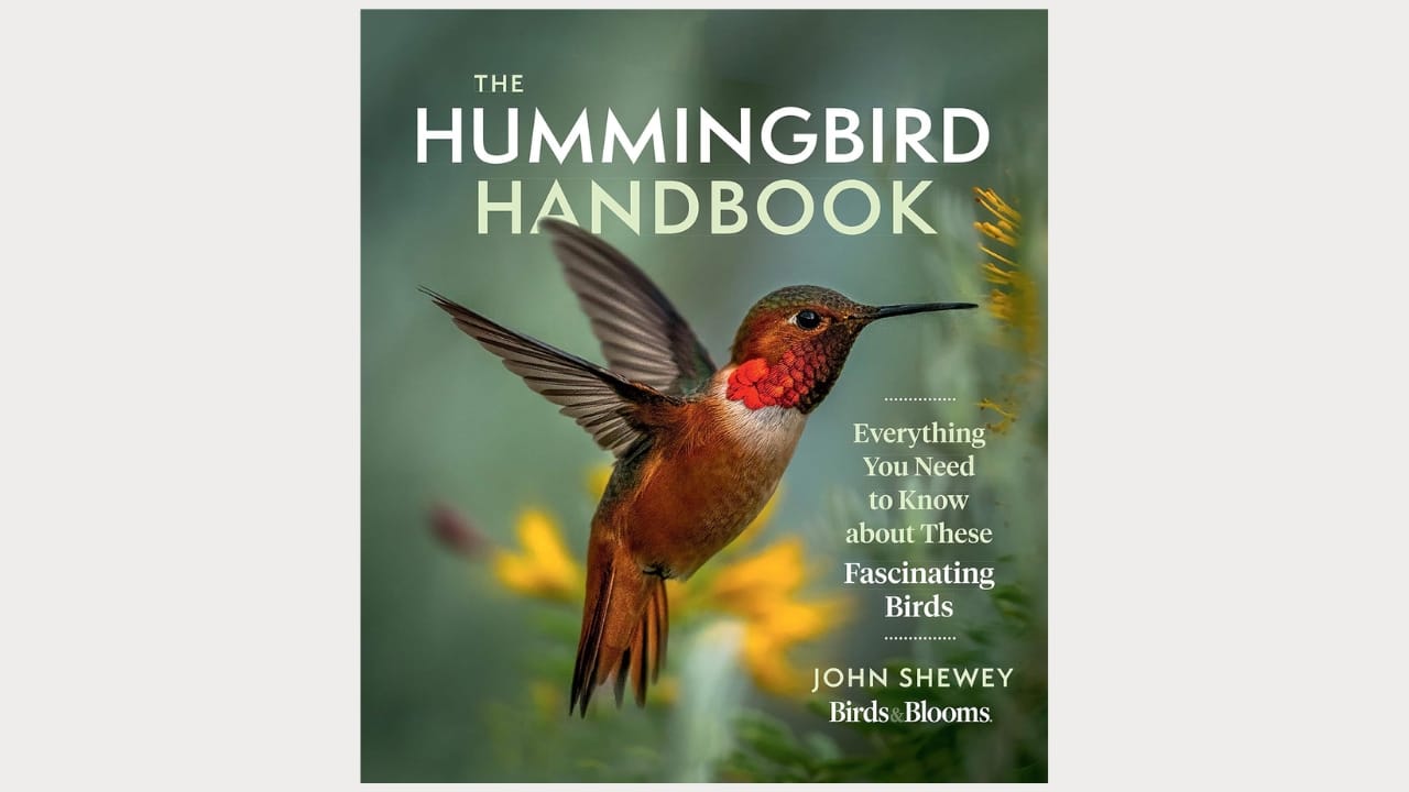 5 Brilliant Reasons to Wrap Your Hummingbird Feeder in Foil 15 5 Brilliant Reasons to Wrap Your Hummingbird Feeder in Foil - hummingbird book