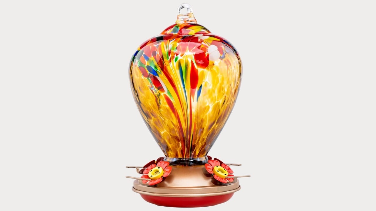 5 Brilliant Reasons to Wrap Your Hummingbird Feeder in Foil 12 5 Brilliant Reasons to Wrap Your Hummingbird Feeder in Foil - hummingbird feeder az 1