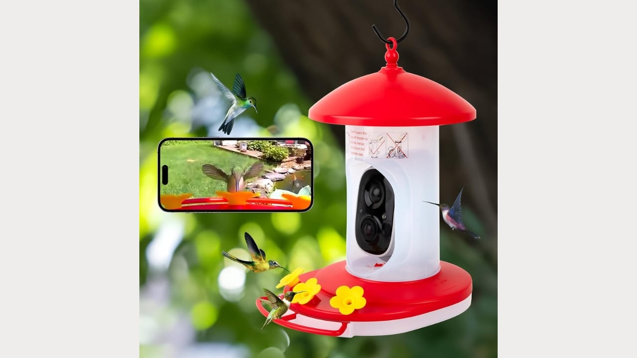 5 Brilliant Reasons to Wrap Your Hummingbird Feeder in Foil 10 5 Brilliant Reasons to Wrap Your Hummingbird Feeder in Foil - hummingbird feeder az 2