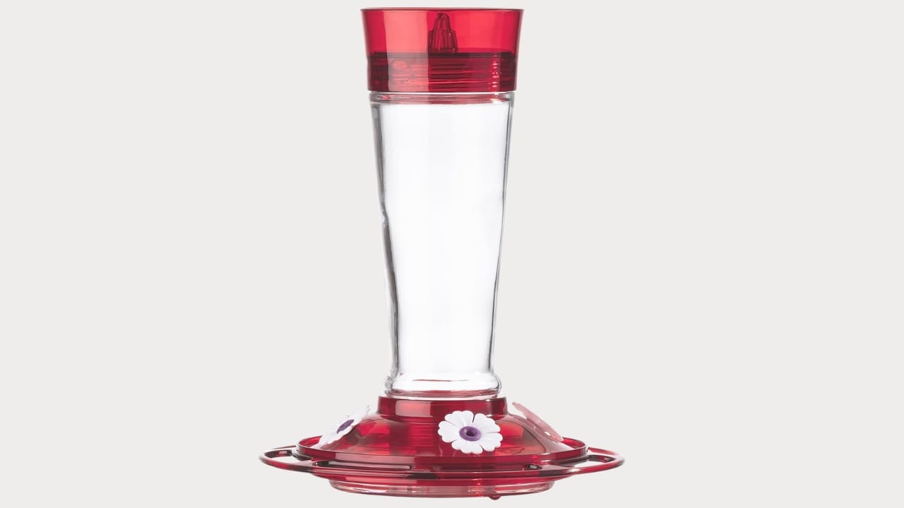 5 Brilliant Reasons to Wrap Your Hummingbird Feeder in Foil 13 5 Brilliant Reasons to Wrap Your Hummingbird Feeder in Foil - hummingbird feeder az 3