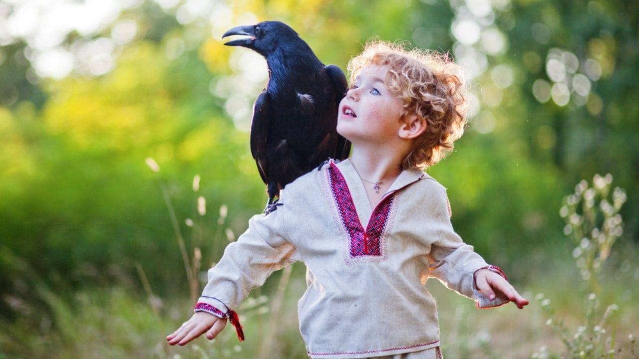 Crows Remember Their Enemies for Nearly 20 Years 5 Crows Remember Their Enemies for Nearly 20 Years - kid with crow ss436348393 adyh