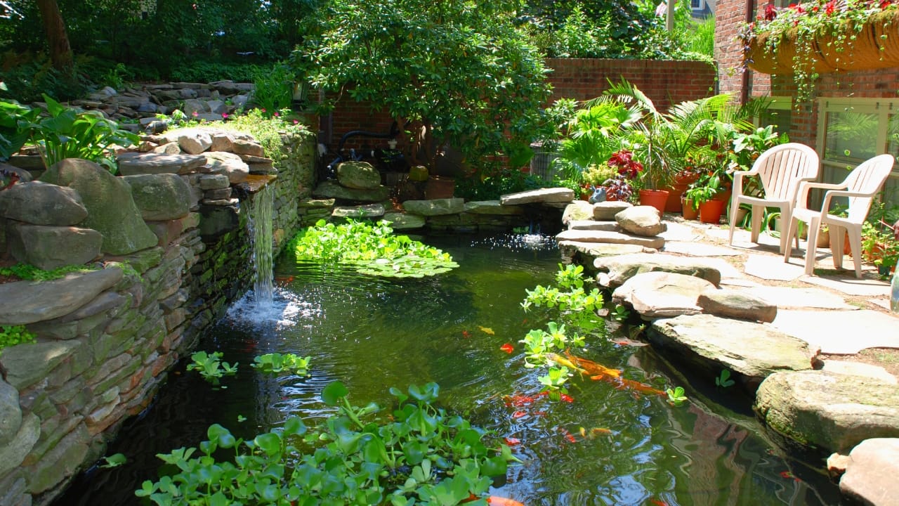 Koi Pond Design: 8 Steps to Get It Right the First Time - koi pond ss15236491 degm
