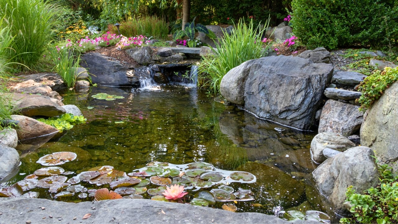 Koi Pond Design: 8 Steps to Get It Right the First Time 8 Koi Pond Design: 8 Steps to Get It Right the First Time - koi pond ss2027676980 degm