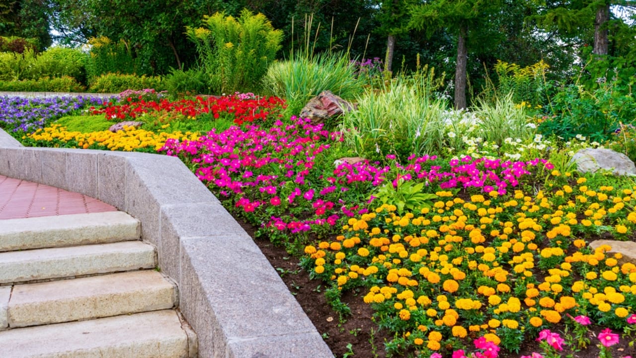 15 Evergreen Shrubs That Redefine Year-Round Curb Appeal - landscape design public garden dp392762552 dnoh
