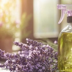 Ditch Harmful Chemicals: Make This DIY Essential Oil Dusting Spray 6 Ditch Harmful Chemicals: Make This DIY Essential Oil Dusting Spray - lavender essential oil