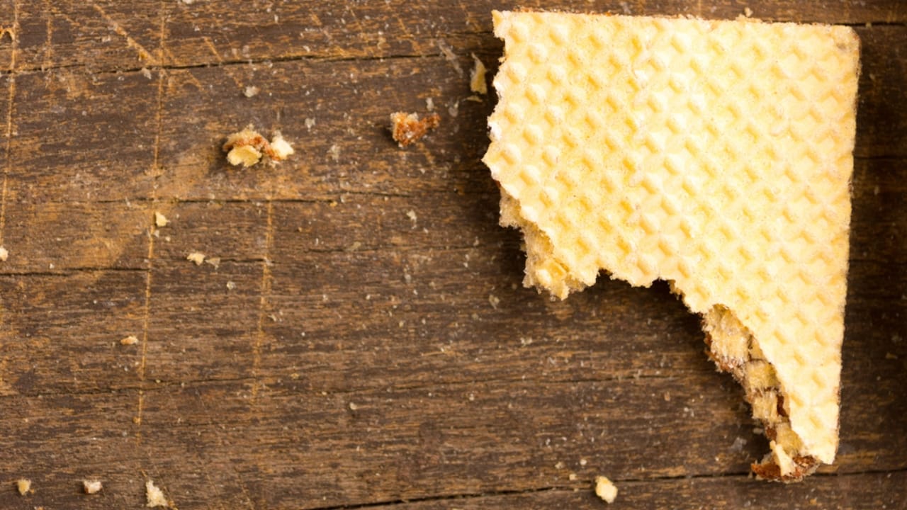 Identifying & Managing Black Widow Spiders in Your Home 12 Identifying & Managing Black Widow Spiders in Your Home - left half eaten biscuit with crumbs dp84791114 dnoh