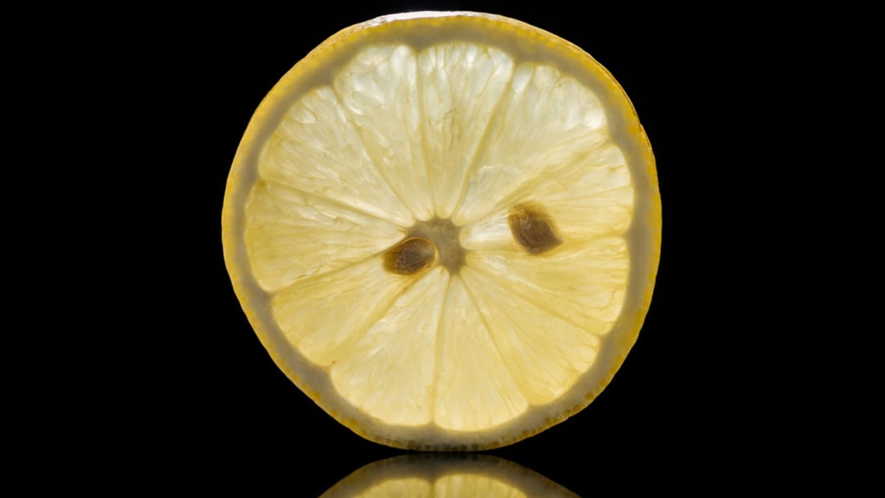 Don’t Toss Lemon Seeds: 8 Ways to Use Them Right Now 3 Don’t Toss Lemon Seeds: 8 Ways to Use Them Right Now - lemon seed sliced dp230137130 dnoh
