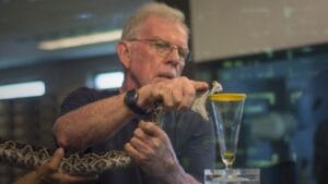 10 Animals with Healing Powers That Could Transform Medicine 1 10 Animals with Healing Powers That Could Transform Medicine - milking an Eastern Diamondback Rattlesnake ss683946652 degm