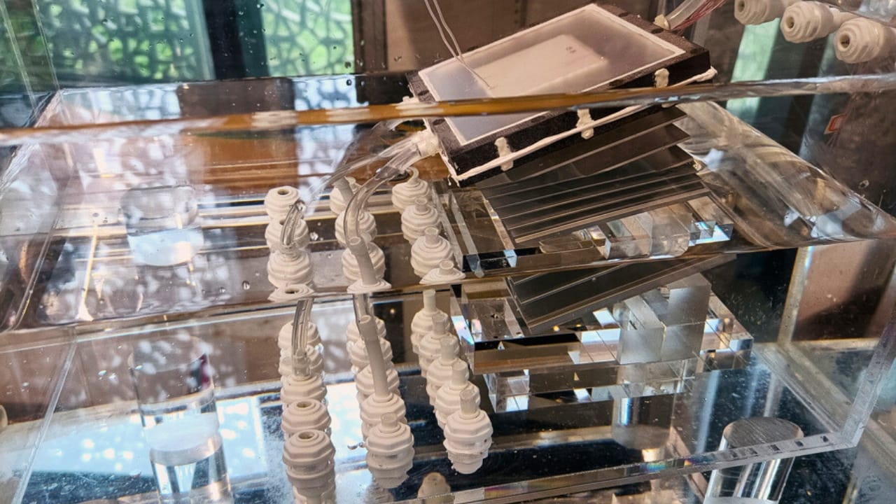 Freshwater Cheaper Than Tap: MIT’s Solar-Powered Desalination 2 Freshwater Cheaper Than Tap: MIT’s Solar-Powered Desalination - mit water