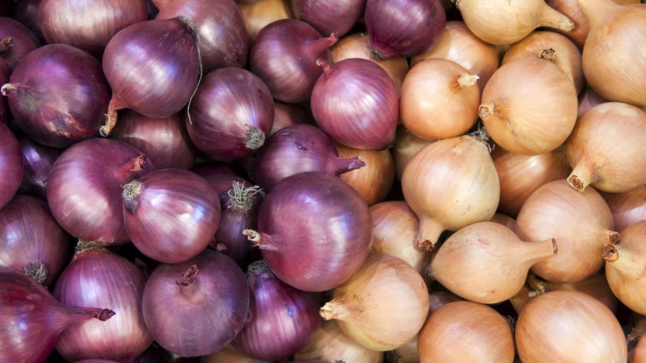Beat Spoilage: How to Keep Onions Fresh for Months - onion dp22181007 dnoh