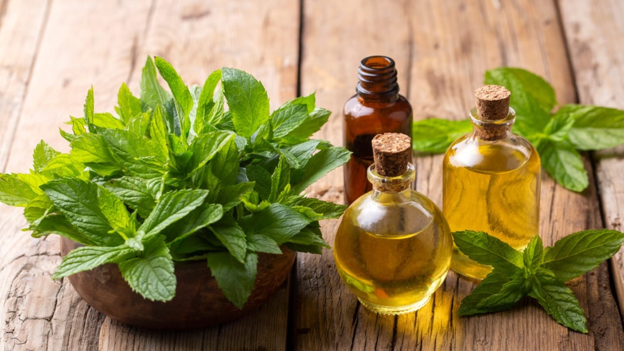 6 Natural Ways to Get Rid of Ants in Your Yard & Driveway 4 6 Natural Ways to Get Rid of Ants in Your Yard & Driveway - peppermint essential oil dp690477740 dnop