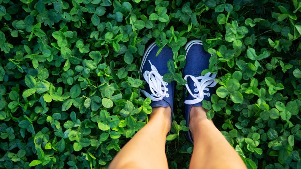 Topdressing Gains Ground as the Go-To Lawn Care Method - person standing on lush green clover field ss2409975277 adyh