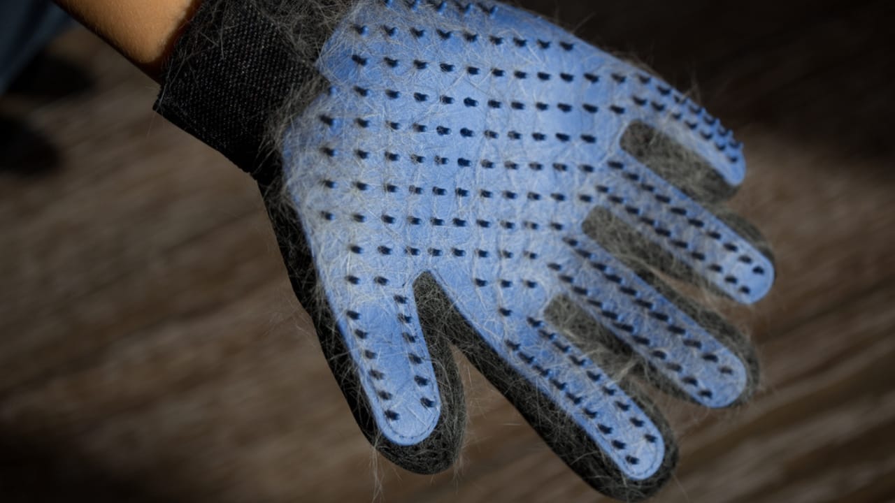 Avoid These 15 Overhyped Cleaning Products to Save Cash - pet hair gloves dp362082874 dnoh