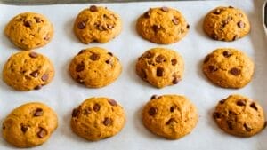 pumpkin chocolate chip cookies that are actually chewy not cake 1 pumpkin chocolate chip cookies that are actually chewy not cake - pumpkin chocolate chip cookies ss2433849339dnoh