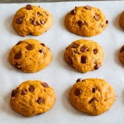 pumpkin chocolate chip cookies that are actually chewy not cake 4 pumpkin chocolate chip cookies that are actually chewy not cake - pumpkin chocolate chip cookies ss2433849339dnoh