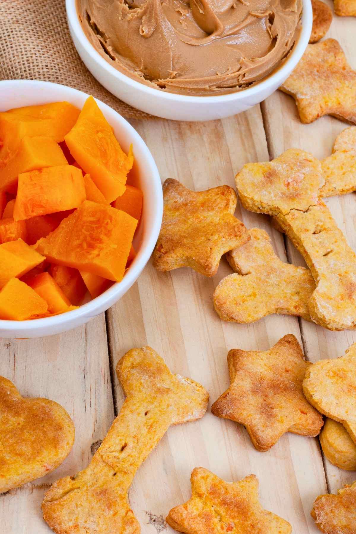 Homemade Pumpkin Dog Treat Recipe That Get Tails Wagging 2 Homemade Pumpkin Dog Treat Recipe That Get Tails Wagging - pumpkin dog treat ss2178172149dnoh