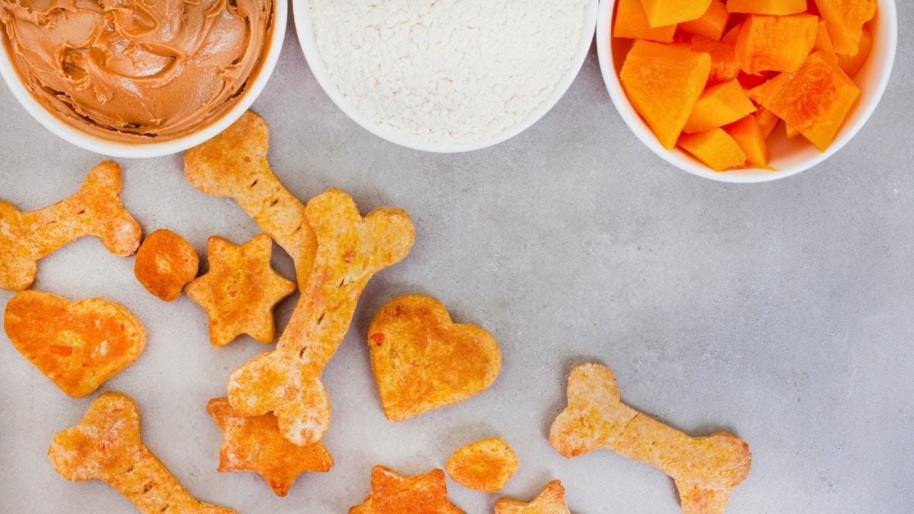 Homemade Pumpkin Dog Treat Recipe That Get Tails Wagging 3 Homemade Pumpkin Dog Treat Recipe That Get Tails Wagging - pumpkin dog treat ss2178172389dnoh