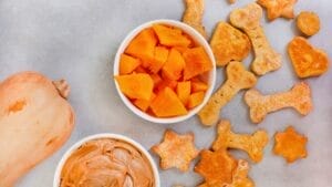 Homemade Pumpkin Dog Treat Recipe That Get Tails Wagging 1 Homemade Pumpkin Dog Treat Recipe That Get Tails Wagging - pumpkin dog treat ss2178262995dnoh