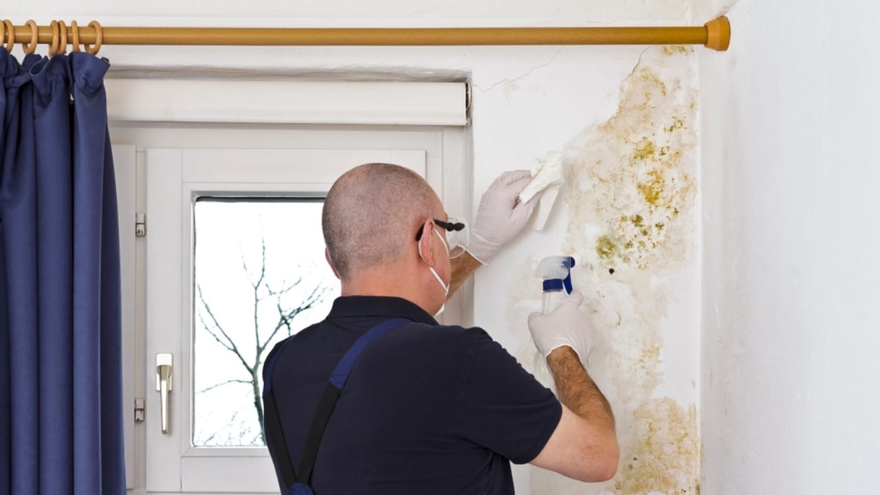 Clean Your Walls Like a Pro—No Streaks, No Damage - removing stain ss2334691641 dpdgm