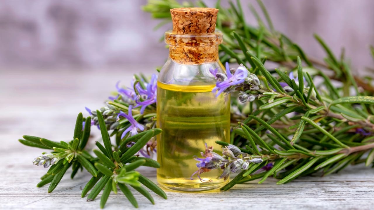 15 Scents Bed Bugs Hate—and How to Use Them - rosemary oil dp247429904 dnoh