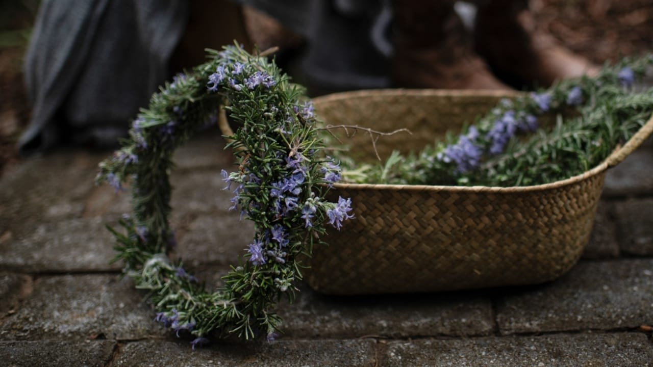 Craft Your Own Holiday Magic With a DIY Rosemary Wreath 4 Craft Your Own Holiday Magic With a DIY Rosemary Wreath - rosemary wreath ss2548685827 dpdgm
