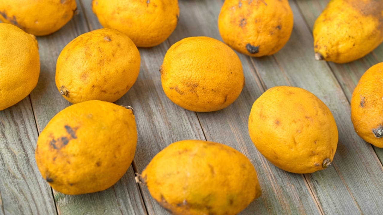 Unlock the Full Potential of Lemons by Freezing Them Whole 7 Unlock the Full Potential of Lemons by Freezing Them Whole - shriveled lemons ss1463764523 dpdgm