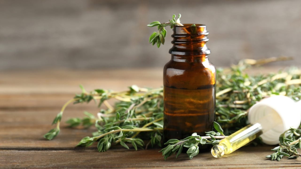 15 Scents Bed Bugs Hate—and How to Use Them 13 15 Scents Bed Bugs Hate—and How to Use Them - thyme oil dp192648618 dnoh