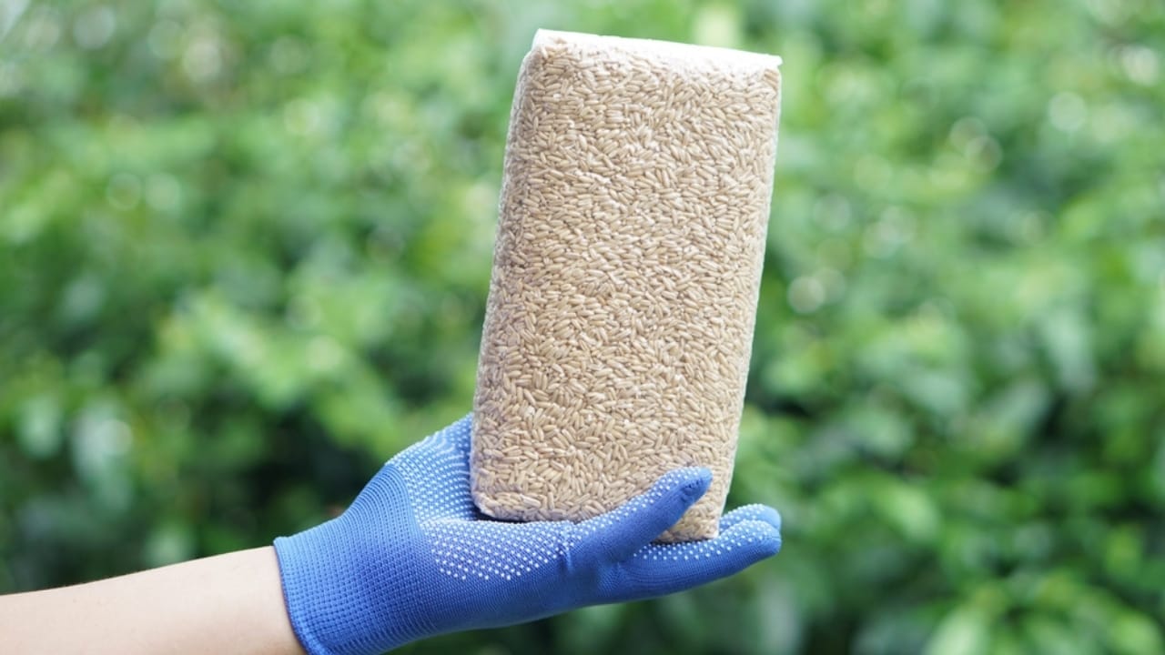 The Storage Method Extending Rice Shelf Life by 5 Years 5 The Storage Method Extending Rice Shelf Life by 5 Years - vacuum sealed bag of rice ss2492370233 dpdgm