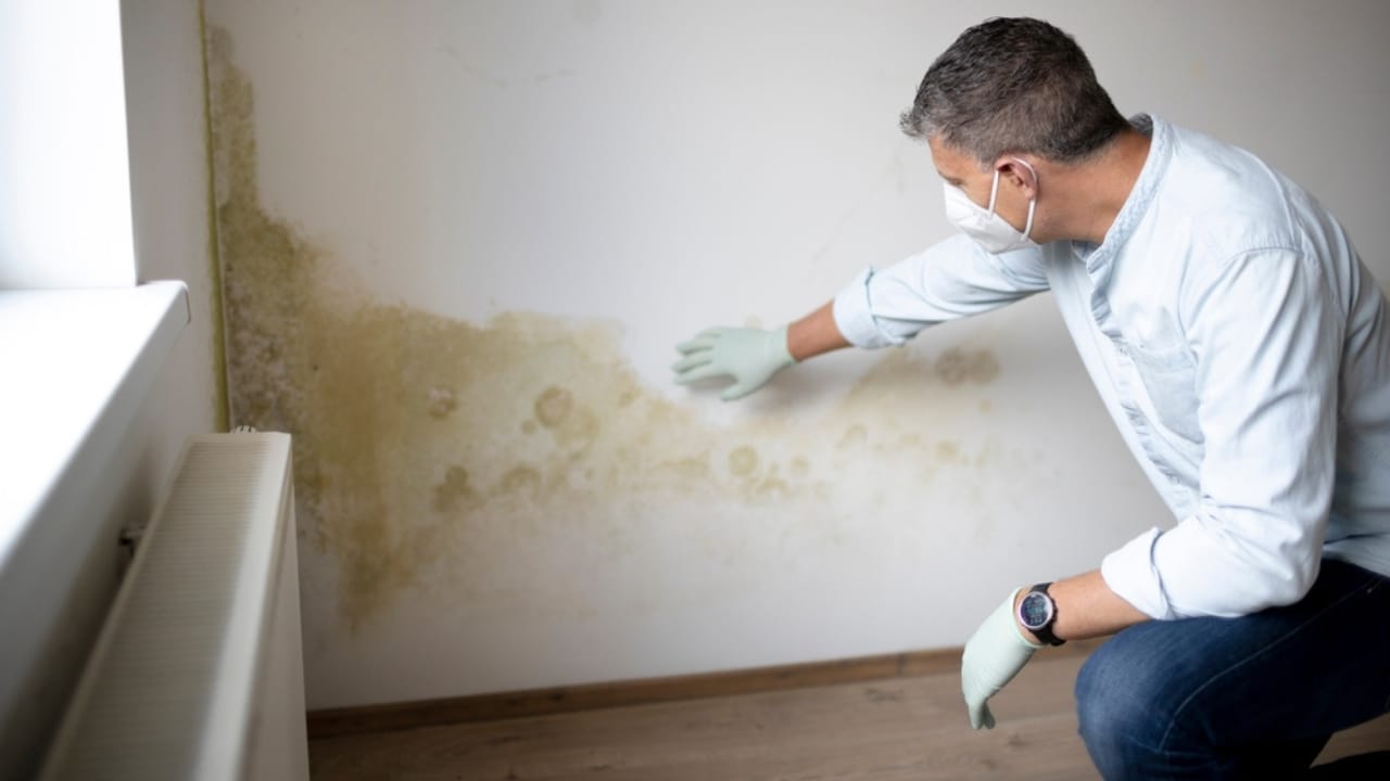 Clean Your Walls Like a Pro—No Streaks, No Damage - wall molds ss2105462450 dpdgm