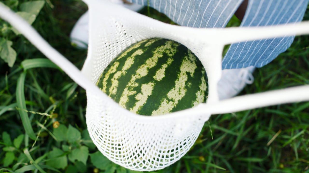 Don’t Toss Them... 15 Creative Ways to Reuse Pantyhose 7 Don’t Toss Them... 15 Creative Ways to Reuse Pantyhose - watermelon in knitted bag dp301374972 dnoh