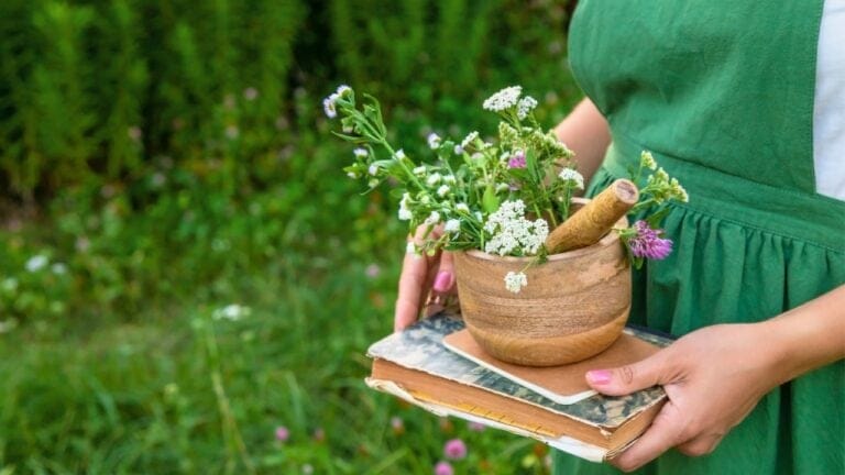 Healing in Your Backyard: 15 Medicinal Plants to Grow - woman collects medicinal herbs ss2443548975 degm