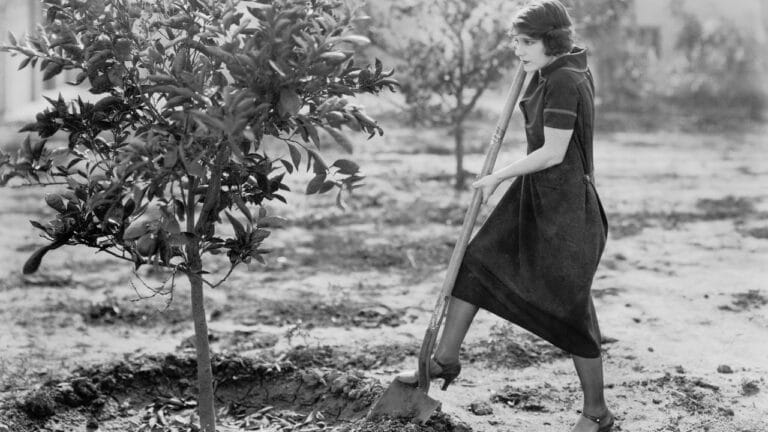 15 Ingenious Life Hacks from 100 Years Ago That Still Work 3 15 Ingenious Life Hacks from 100 Years Ago That Still Work - woman vintage gardening ss91705733 degm