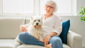 15 Dog Breeds Perfect for Seniors Seeking Loyal Companions 1 15 Dog Breeds Perfect for Seniors Seeking Loyal Companions - woman white dog ss1345460732 degm