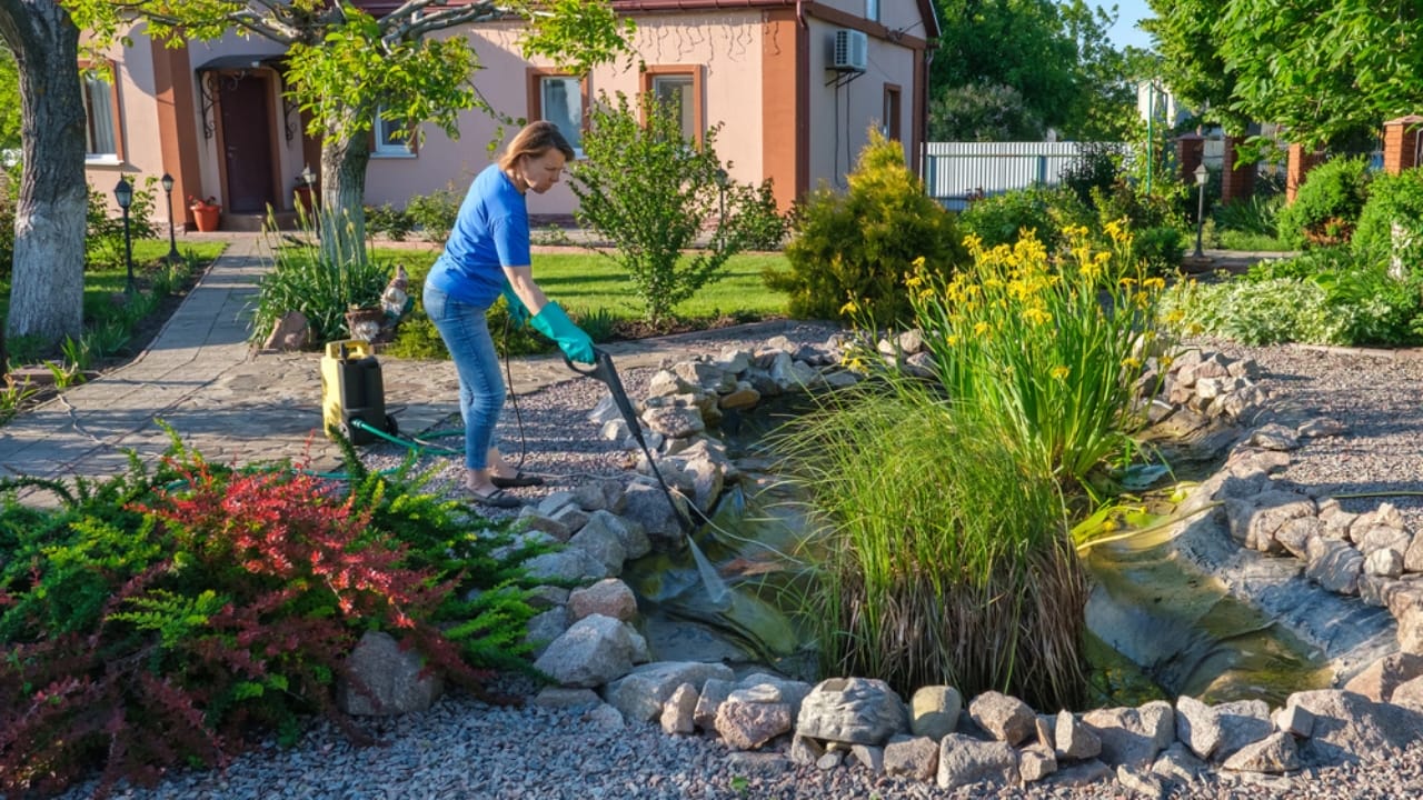 Koi Pond Design: 8 Steps to Get It Right the First Time - woman cleaning fish pond dp275677058 dnoh
