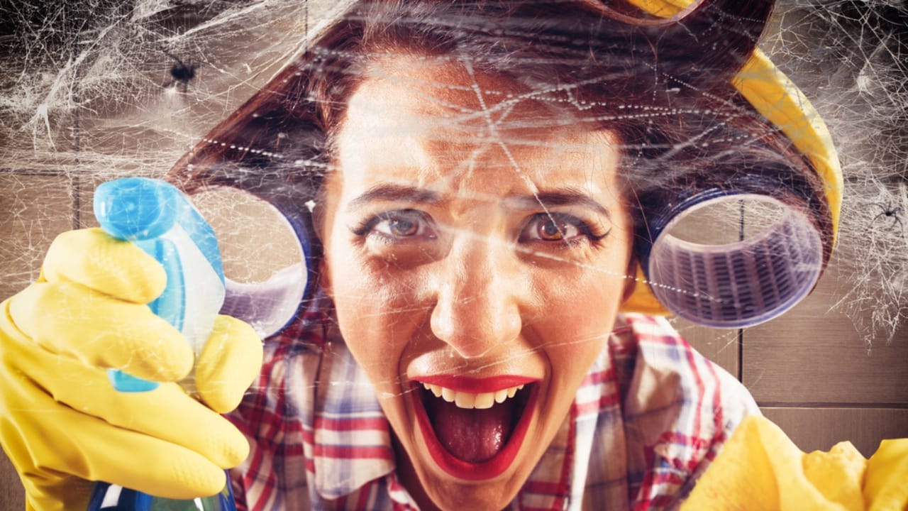 Identifying & Managing Black Widow Spiders in Your Home 7 Identifying & Managing Black Widow Spiders in Your Home - woman cleaning spider web dp90958056 dnoh