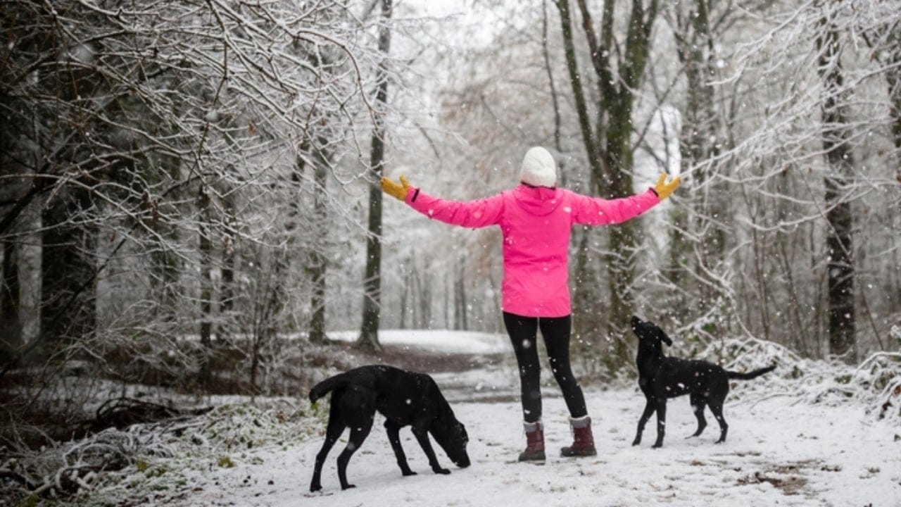 12 Strategies for Dealing with Coyote Encounters in Your Neighborhood 3 12 Strategies for Dealing with Coyote Encounters in Your Neighborhood - woman in pink jacket ss2295536339 dnoh