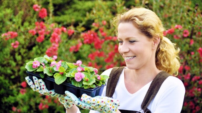 10 Gorgeous Flowers That Bloom Year-Round with the Right Care 5 10 Gorgeous Flowers That Bloom Year-Round with the Right Care - woman with grown plants gardening dp4635364 dnoh