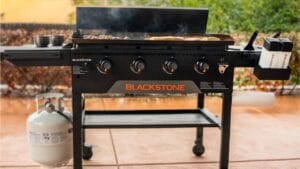 17 Must-Try Blackstone Recipes That Will Elevate Your Griddle Game 1 blackstone grill