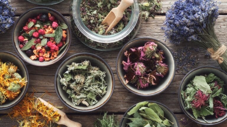 11 Herbs to Dry Now for Freshness That Lasts All Year - Bowls and jars of dry medicinal herbs ss1923216785 dpdgm