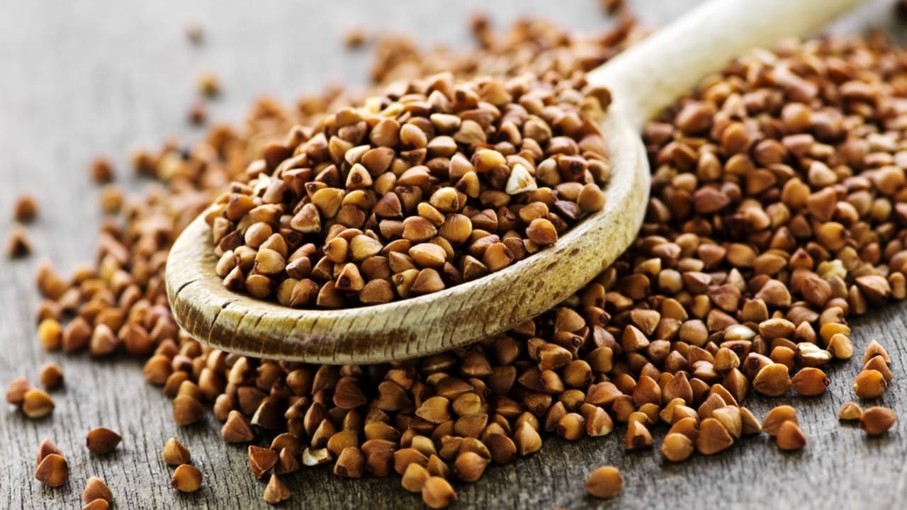 George Washington’s 20 Crops Shaped U.S. Farming Forever 12 George Washington’s 20 Crops Shaped U.S. Farming Forever - Buckwheat dp4483515 dnoh