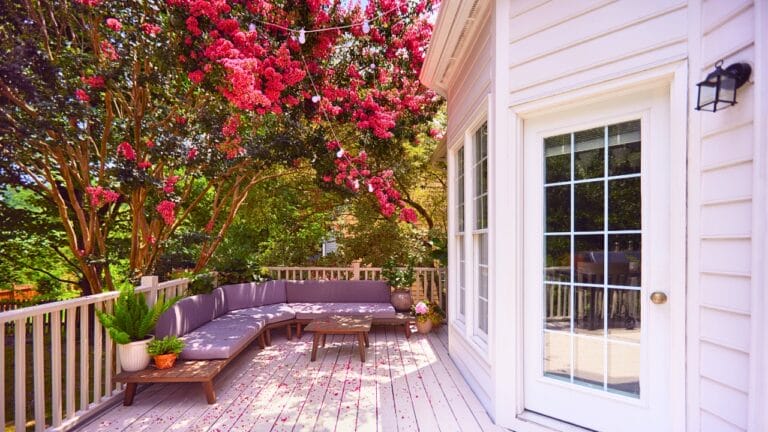 Small, Drought-Tolerant Trees: 15 Non-Invasive Picks for Your Yard 4 Small, Drought-Tolerant Trees: 15 Non-Invasive Picks for Your Yard - Crape Myrtle ss2338058833