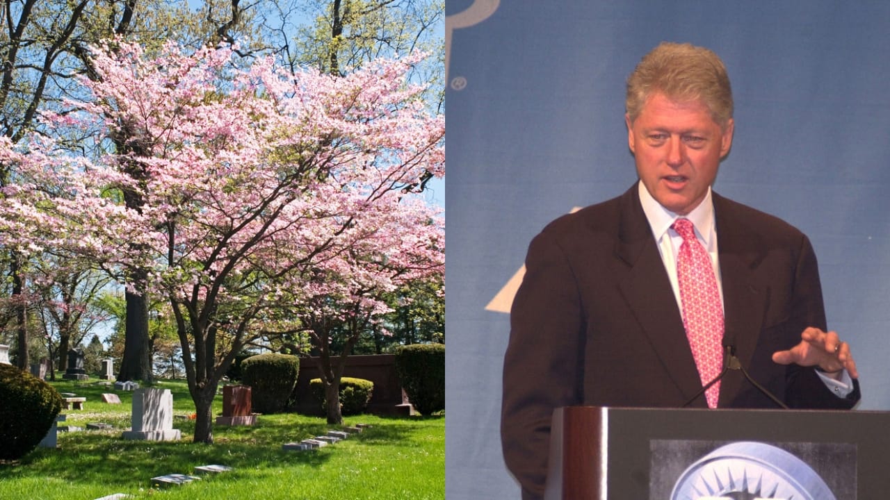 15 White House Trees Rooted in Love, Loss, and Legacy 8 15 White House Trees Rooted in Love, Loss, and Legacy - Dogwood Tree dp66653247 dnoh Bill Clinton dp17946341 dnoh