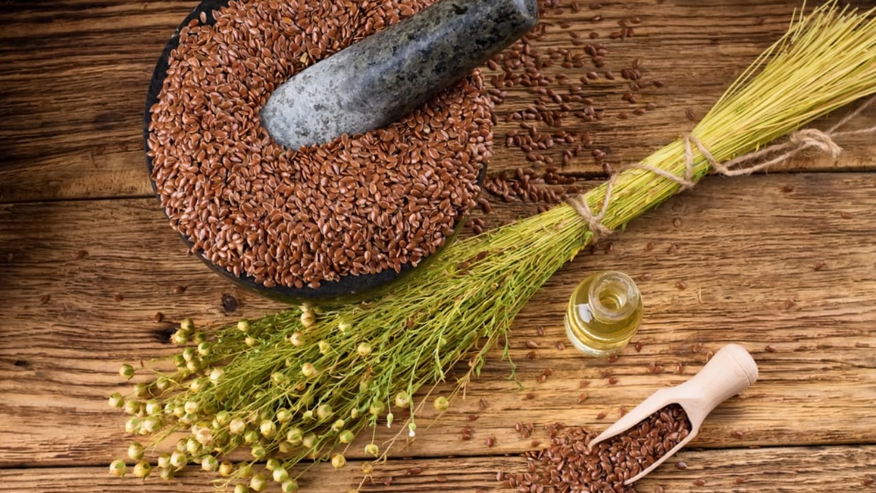 George Washington’s 20 Crops Shaped U.S. Farming Forever 11 George Washington’s 20 Crops Shaped U.S. Farming Forever -