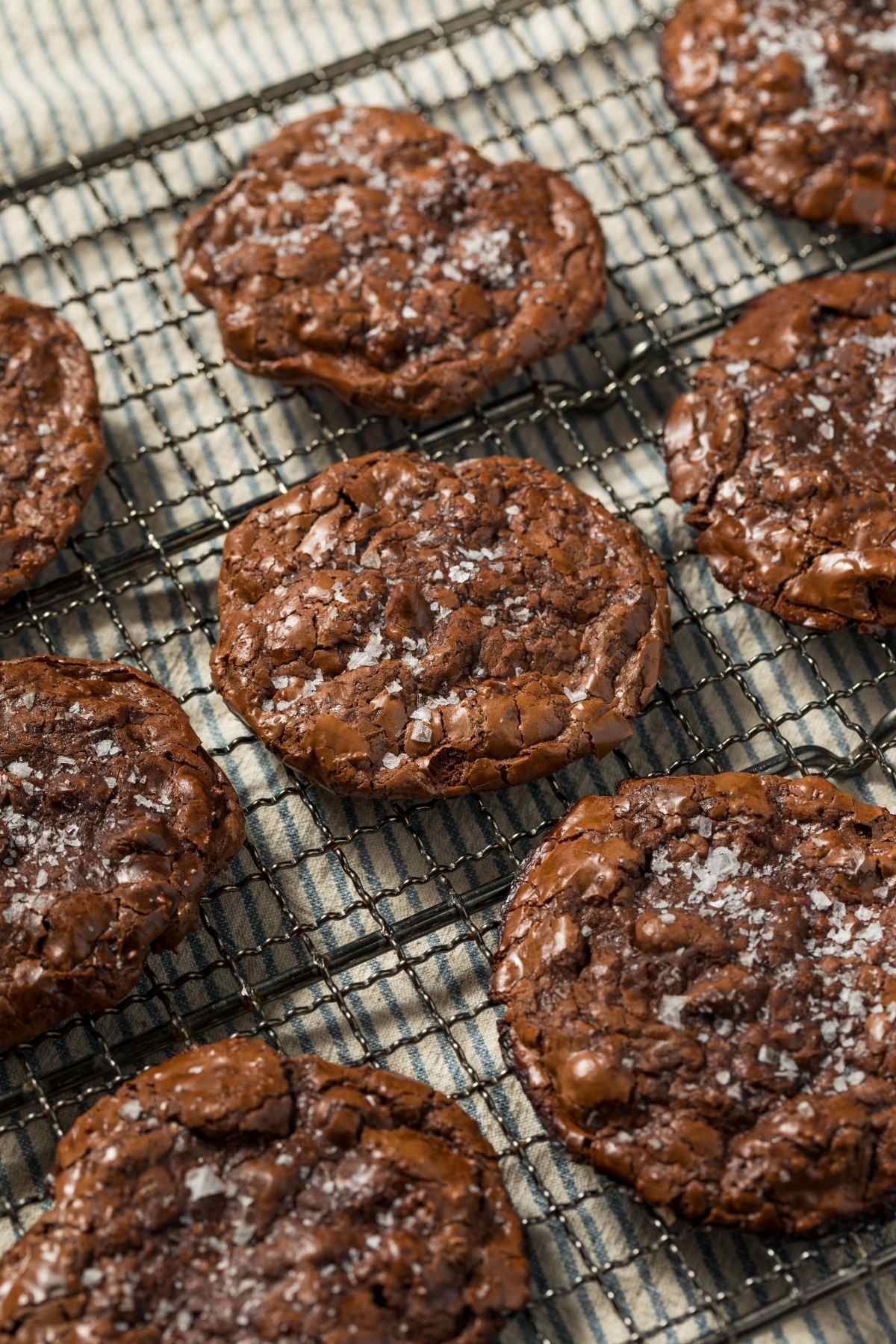 Flourless Chocolate Cookies That Are Rich, Chewy & Irresistible 2 Flourless Chocolate Cookies That Are Rich, Chewy & Irresistible - Flourless Double Chocolate Chip Cookies ss2553822927dnoh