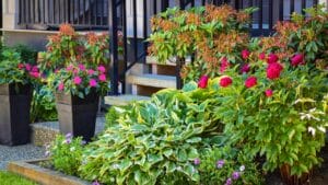 Why 1950s Front Yards Became Symbols of the American Dream 1 Why 1950s Front Yards Became Symbols of the American Dream - Garden design ss2172316497 degm