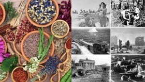 The 13 Plants That Powered Wartime Medicine in Two World Wars 1 The 13 Plants That Powered Wartime Medicine in Two World Wars - Herbal plant medicine plants ss2137094499 dnoh Montage of World War II wc
