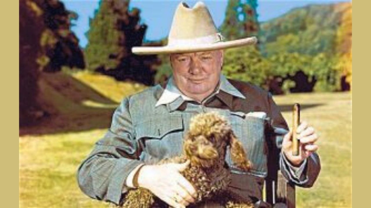 Poodles at War: Untold Stories of History’s Elegant Warriors 7 Poodles at War: Untold Stories of History’s Elegant Warriors - International Churchill Society