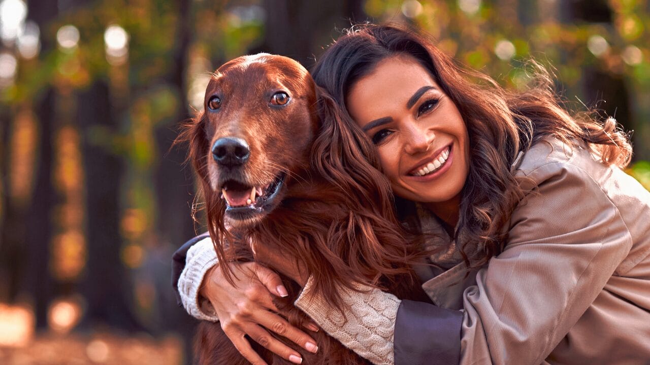 26 Dog Breeds Who Believe Aggression Is Simply Overrated 8 26 Dog Breeds Who Believe Aggression Is Simply Overrated - Irish Setter ss2034016208 bpgm